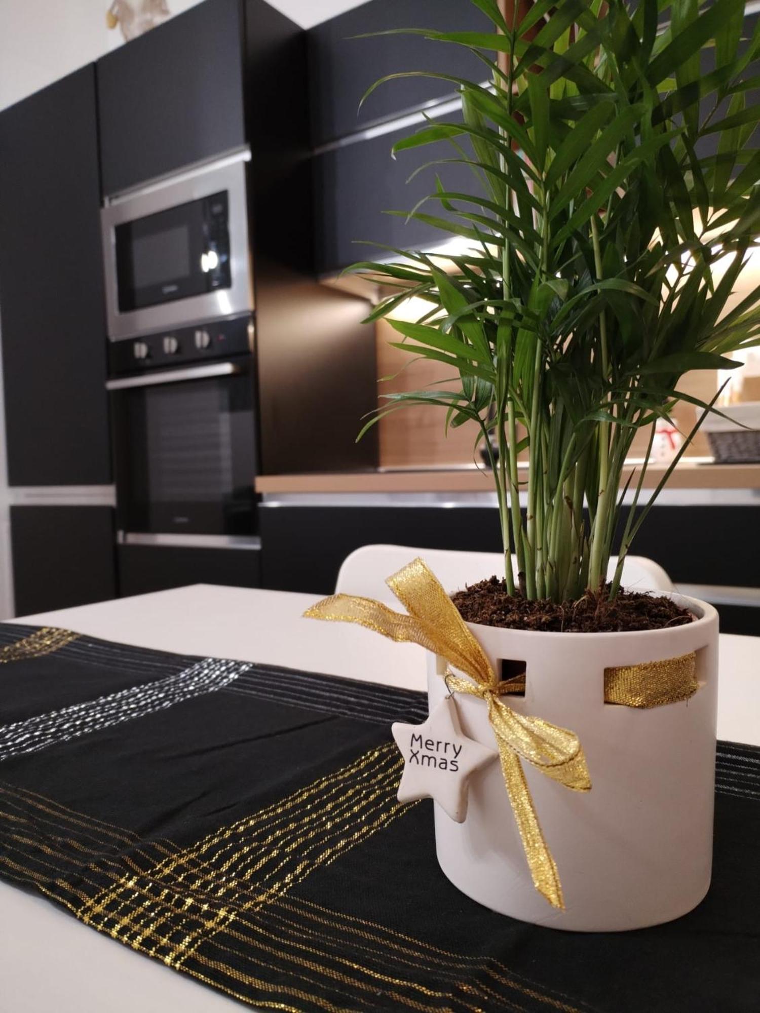 Central Loft Carina Ideale Per Visitare Il Centro Di Torino Экстерьер фото